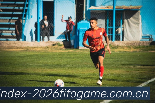 FIFA官方认证
